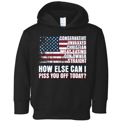 How Else Can I Piss You Off Today Us Flag Toddler Hoodie