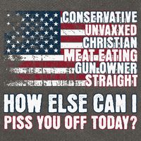 How Else Can I Piss You Off Today Us Flag Cotton Canvas Backpack
