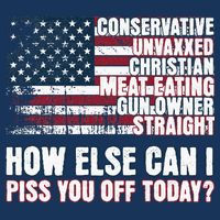 How Else Can I Piss You Off Today Us Flag Infant Baby Jersey Bodysuit