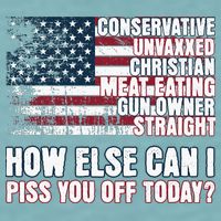How Else Can I Piss You Off Today Us Flag Sueded Cloud Jersey T-Shirt