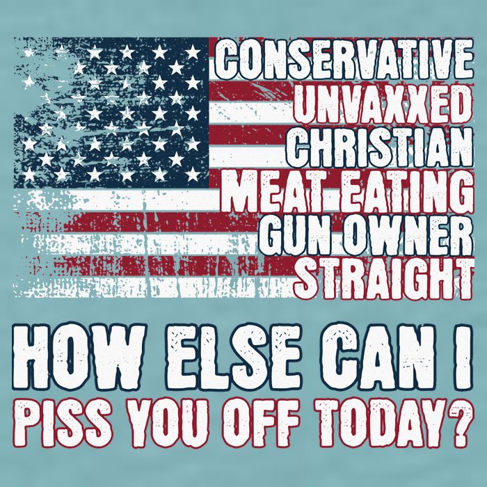How Else Can I Piss You Off Today Us Flag Sueded Cloud Jersey T-Shirt