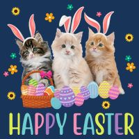 Happy Easter Cute Cat Lover Holiday Full Zip Hoodie