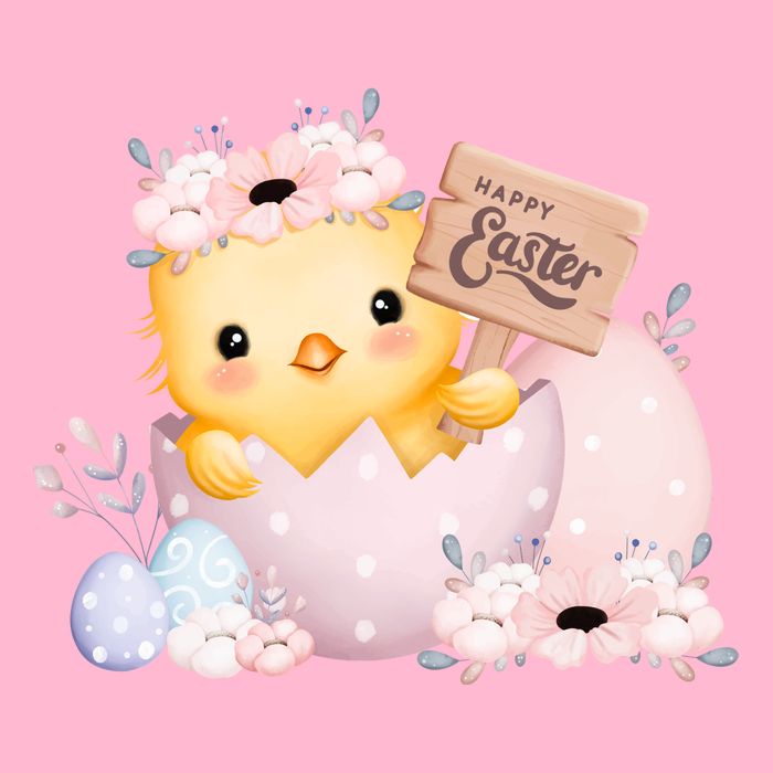Happy Easter Cute Chick Easter Sunday Hoodie