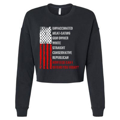 How Else Can I Offend You Today Cropped Pullover Crew