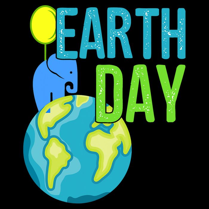 Happy Earth Day Great Vintage Earth Day Elephant Cute Gift Women's Crop Top Tee
