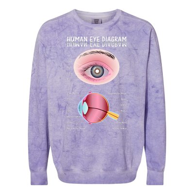 Human Eye Diagram Colorblast Crewneck Sweatshirt