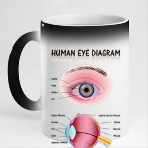 Human Eye Diagram 11oz Black Color Changing Mug