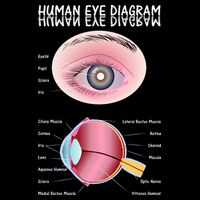 Human Eye Diagram Impact Tech Backpack