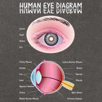 Human Eye Diagram Cotton Canvas Backpack