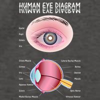 Human Eye Diagram Vector Backpack