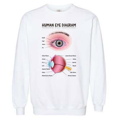 Human Eye Diagram Garment-Dyed Sweatshirt