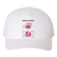 Human Eye Diagram Yupoong Adult 5-Panel Trucker Hat