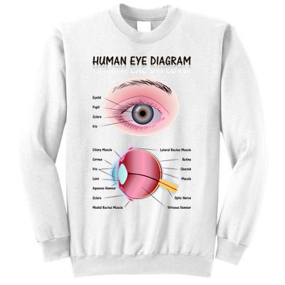 Human Eye Diagram Sweatshirt