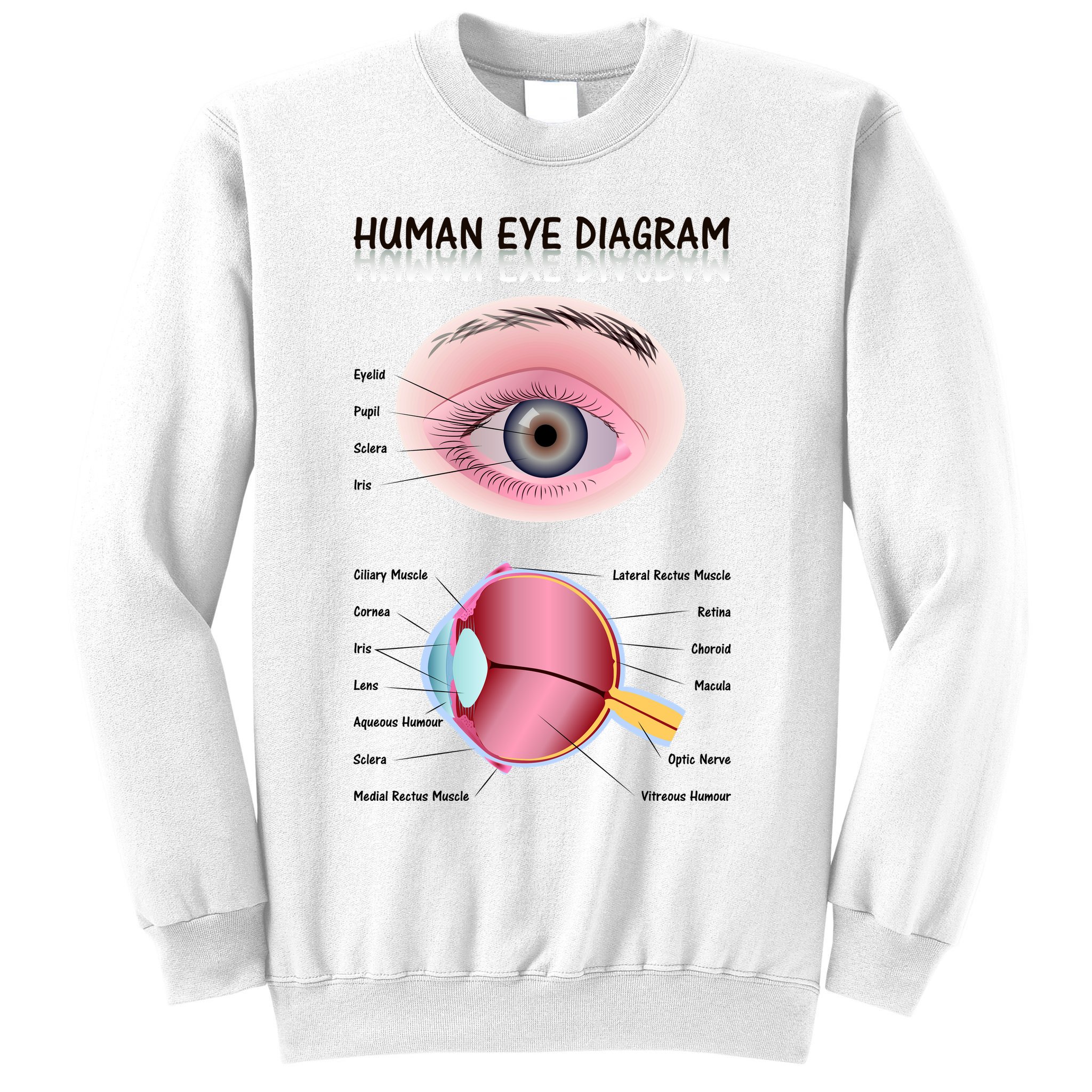Human Eye Diagram Sweatshirt