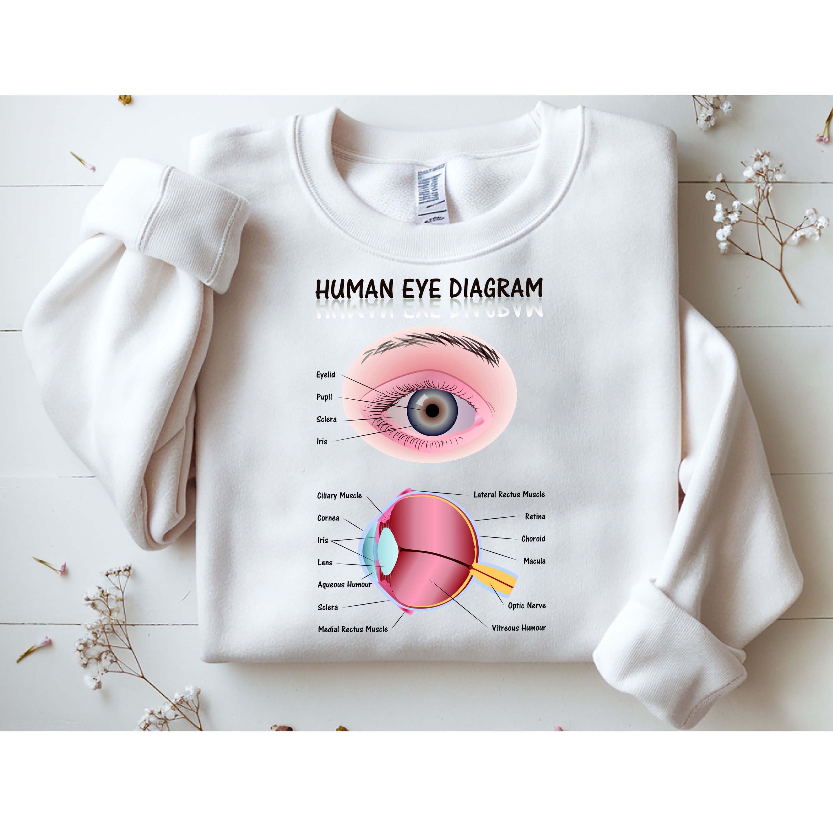 Human Eye Diagram Sweatshirt