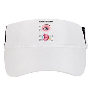 Human Eye Diagram Adult Drive Performance Visor