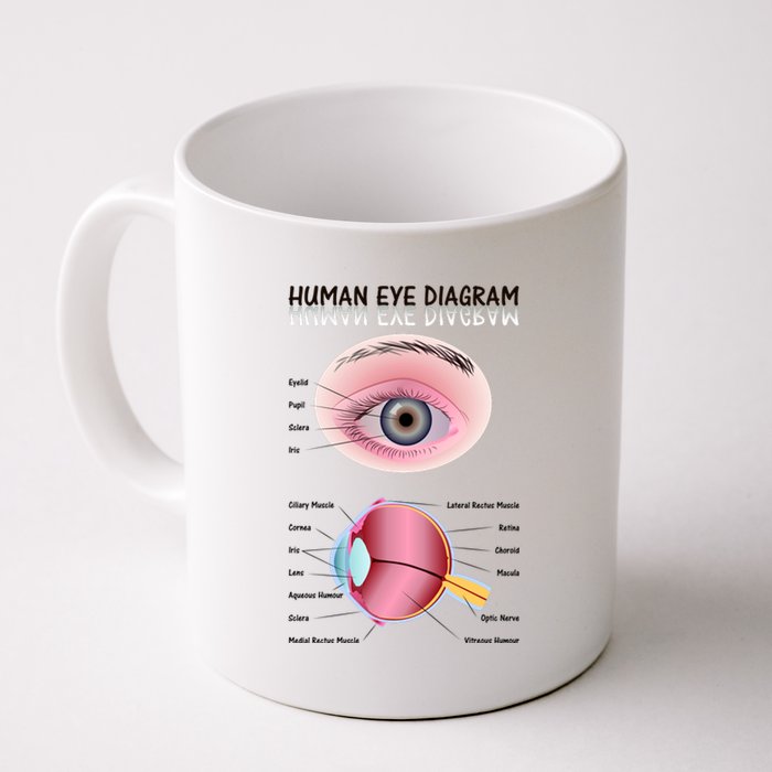 Human Eye Diagram Coffee Mug