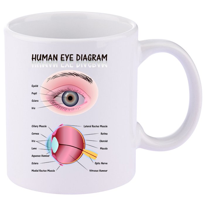 Human Eye Diagram 11oz C Handle Ceramic Mug