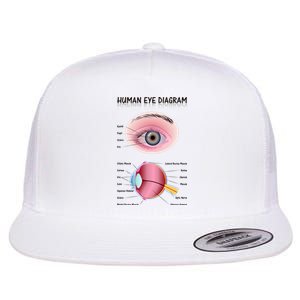 Human Eye Diagram Flat Bill Trucker Hat