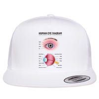 Human Eye Diagram Flat Bill Trucker Hat