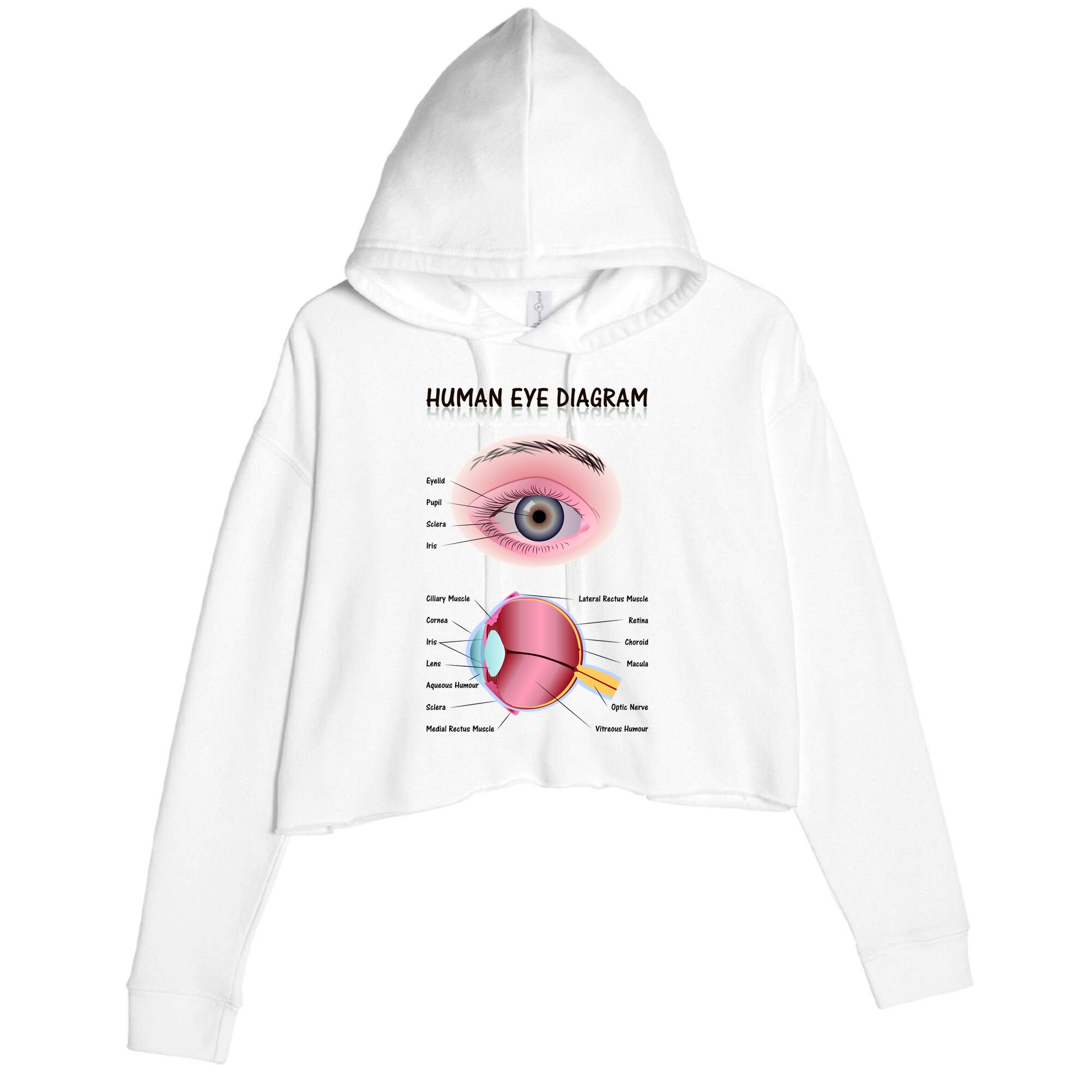 Human Eye Diagram Crop Fleece Hoodie