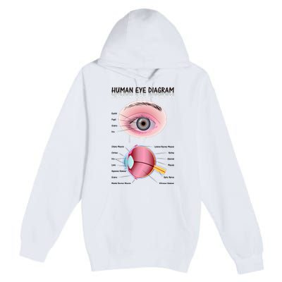 Human Eye Diagram Premium Pullover Hoodie