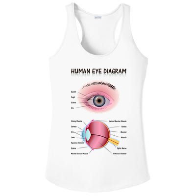 Human Eye Diagram Ladies PosiCharge Competitor Racerback Tank