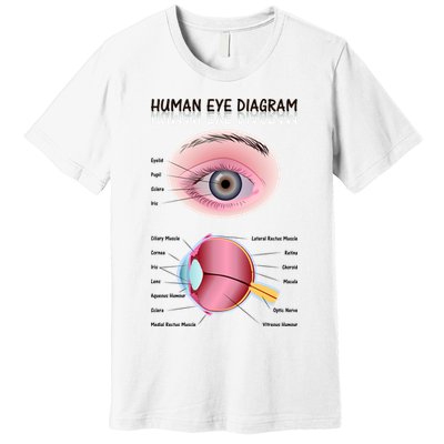 Human Eye Diagram Premium T-Shirt