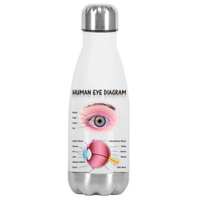 Human Eye Diagram Stainless Steel Insulated Water Bottle