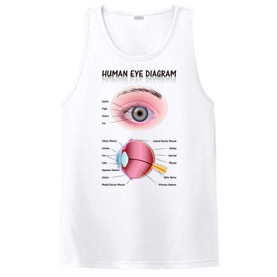 Human Eye Diagram PosiCharge Competitor Tank