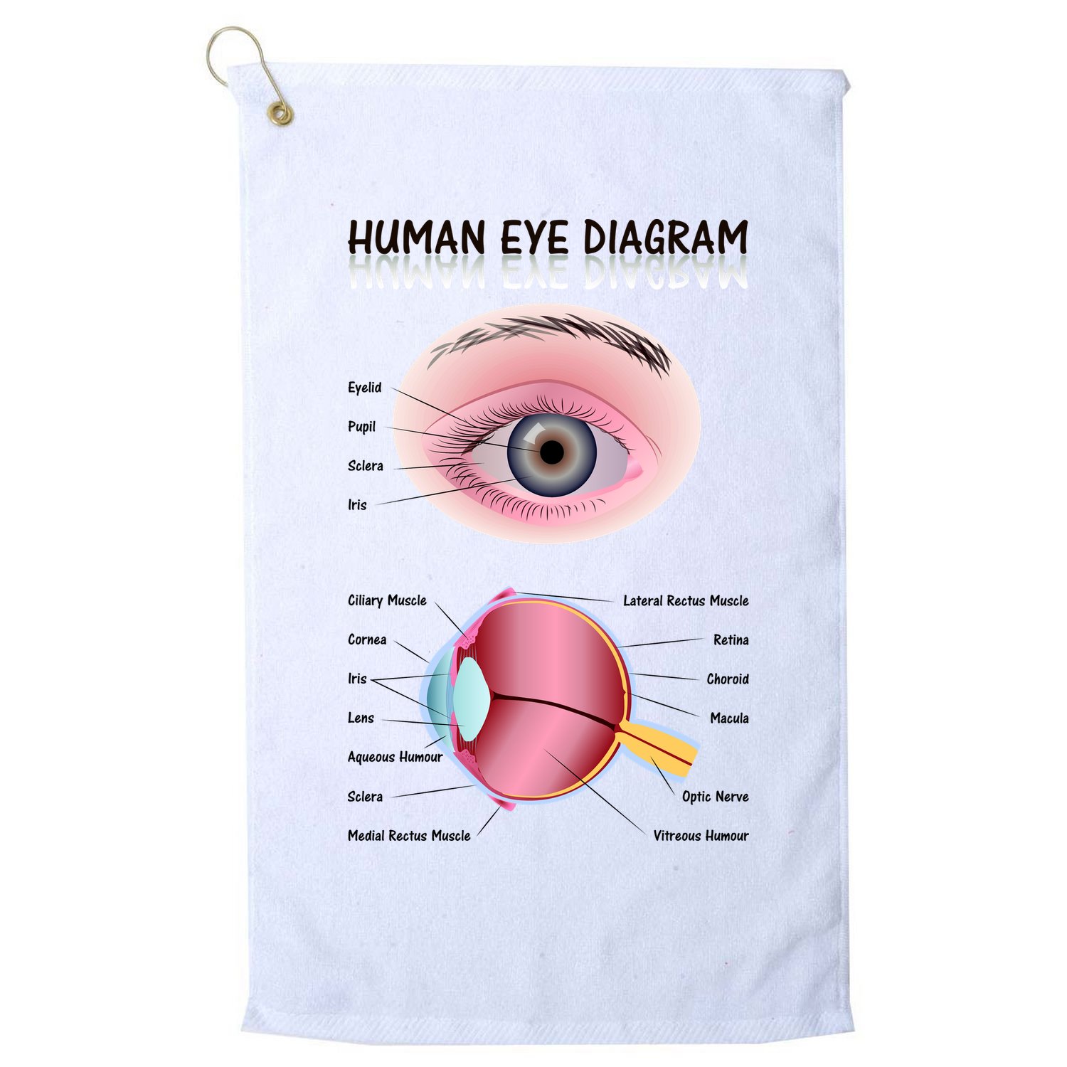 Human Eye Diagram Golf Towel