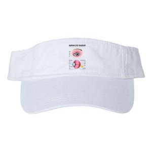 Human Eye Diagram Valucap Bio-Washed Visor