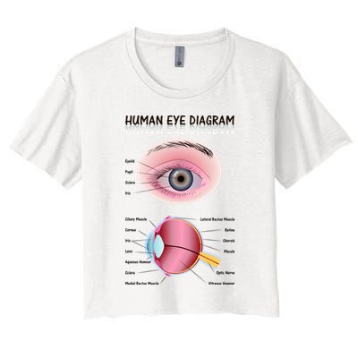 Human Eye Diagram Crop Top