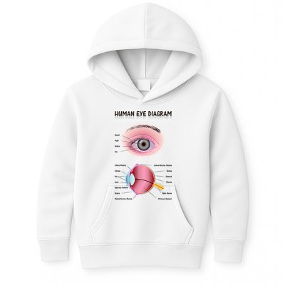 Human Eye Diagram Kids Hoodie