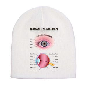 Human Eye Diagram Short Acrylic Beanie