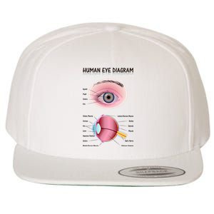 Human Eye Diagram Wool Snapback Cap