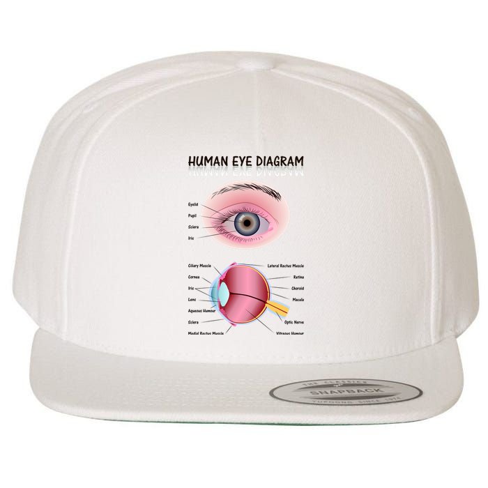 Human Eye Diagram Wool Snapback Cap