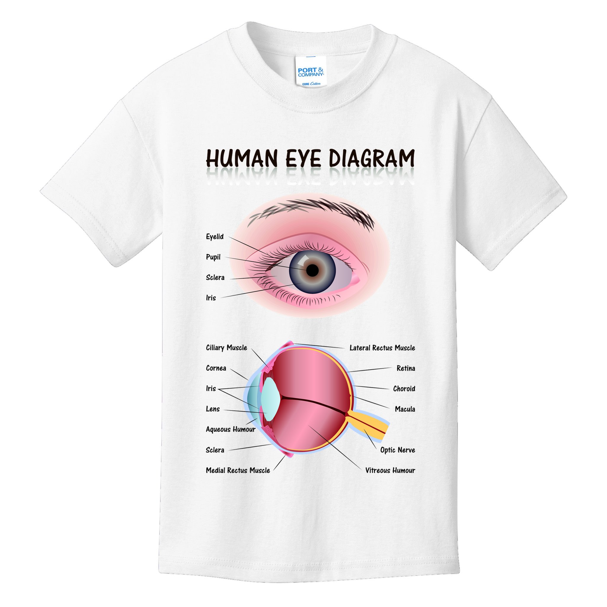 Human Eye Diagram Kids T-Shirt