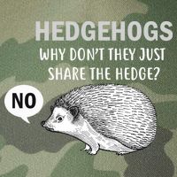 Hedgehogs Can't Share Legacy Tie Dye Trucker Hat