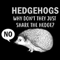 Hedgehogs Can't Share Drawstring Bag