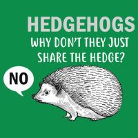 Hedgehogs Can't Share Women's V-Neck T-Shirt