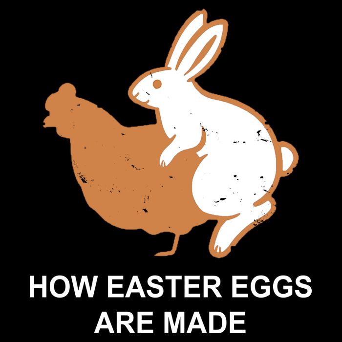 How Easter Eggs Are Made Funny Sarcastic Backpack