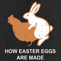 How Easter Eggs Are Made Funny Sarcastic Trucker Hat