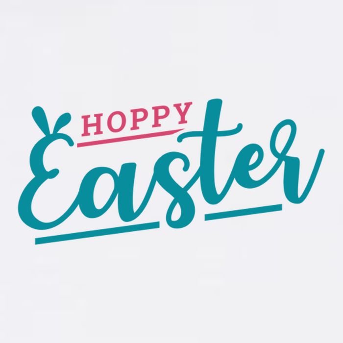 Hoppy Easter Holiday Full Zip Hoodie
