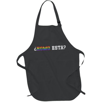 Homo Esta LGBT Apron