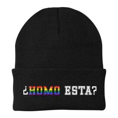 Homo Esta LGBT Beanie