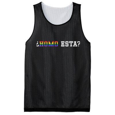 Homo Esta LGBT Mesh Reversible Basketball Jersey Tank