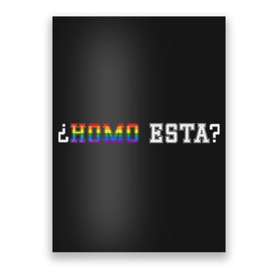 Homo Esta LGBT Poster