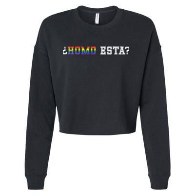 Homo Esta LGBT Cropped Pullover Crew