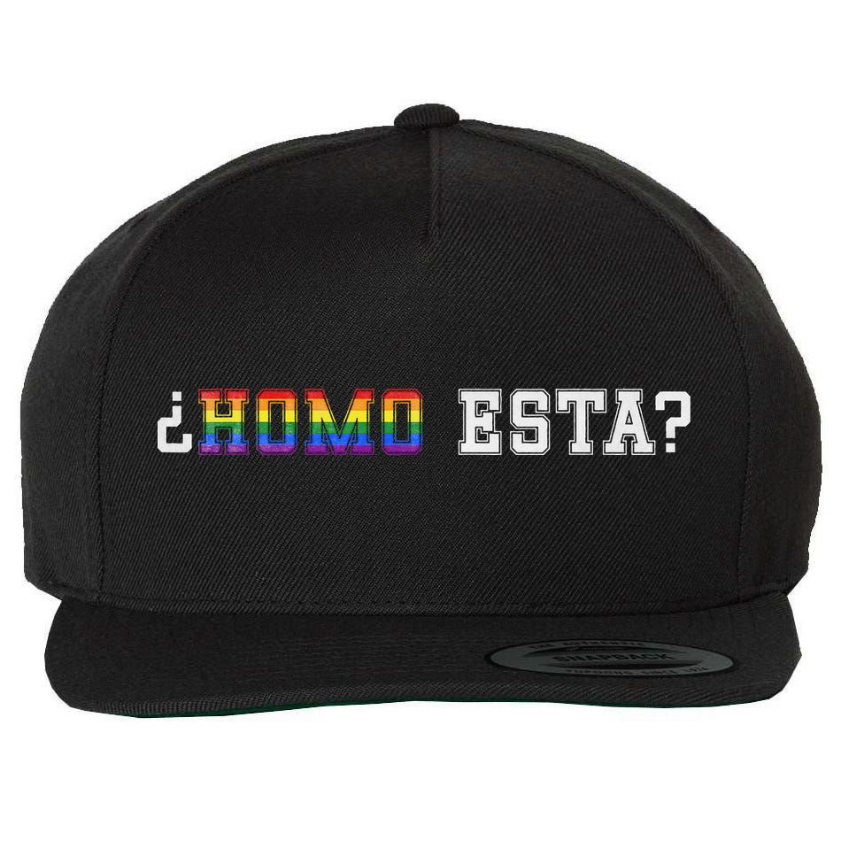 Homo Esta LGBT Wool Snapback Cap